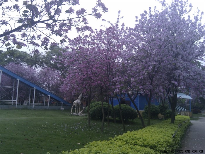 柳州帽合公园瞎拍.