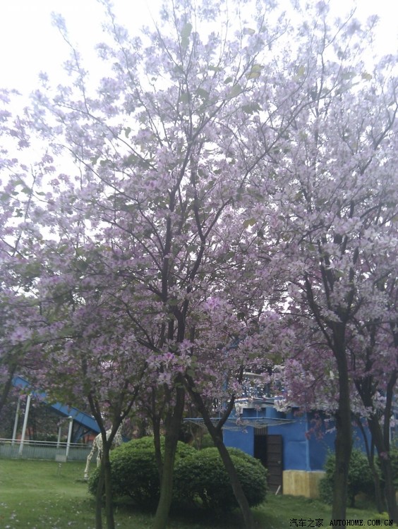 柳州帽合公园瞎拍.