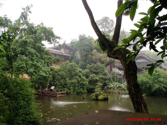 雨中的桂湖公园续老桂湖公园