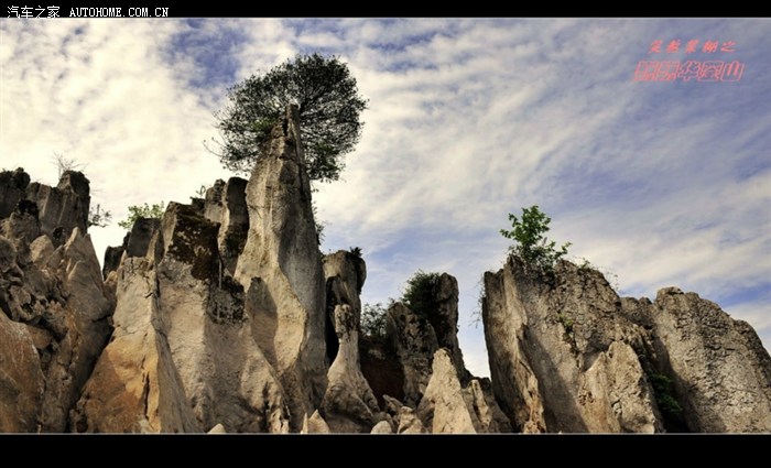 朝圣华蓥山生命之根好山好水好风景海量照片申精