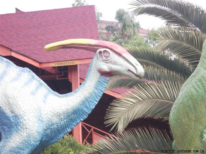 大量精美图片解说恐龙谷游记附无影光脚炼成秘集附磨合期油耗