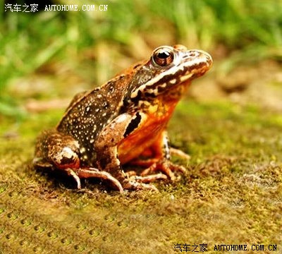 环长白山自驾游