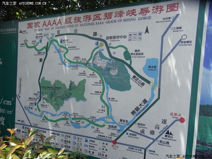 小明川西行-雅安碧峰峡看熊猫宝宝大战.