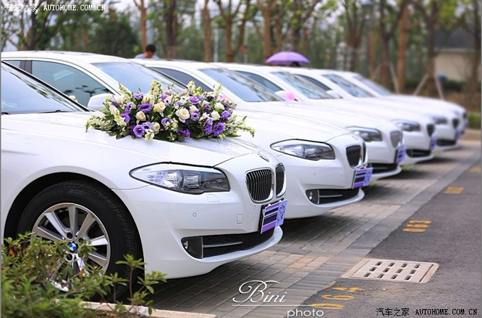 《苏州车友会》5系白色婚车作业!回头率超高!斑竹求认证!