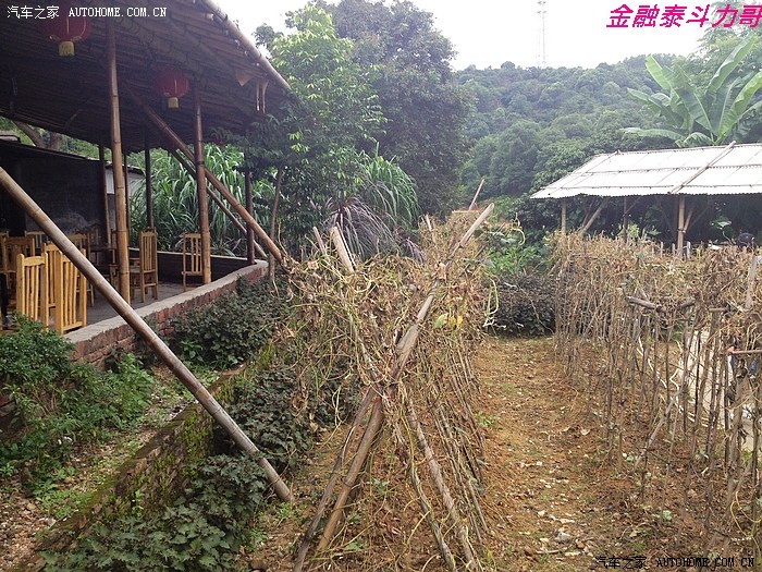 车系短途自驾踩点~美丽的惠州金钱龟养殖基地
