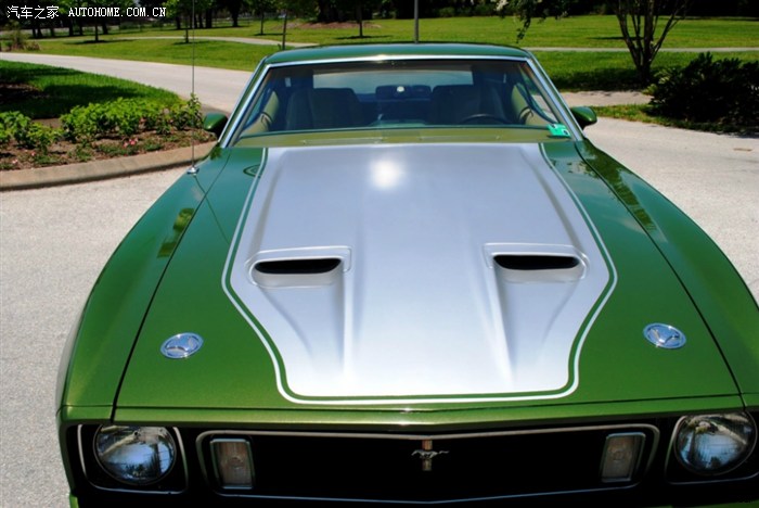 1973年的野马这个颜色够亮的.