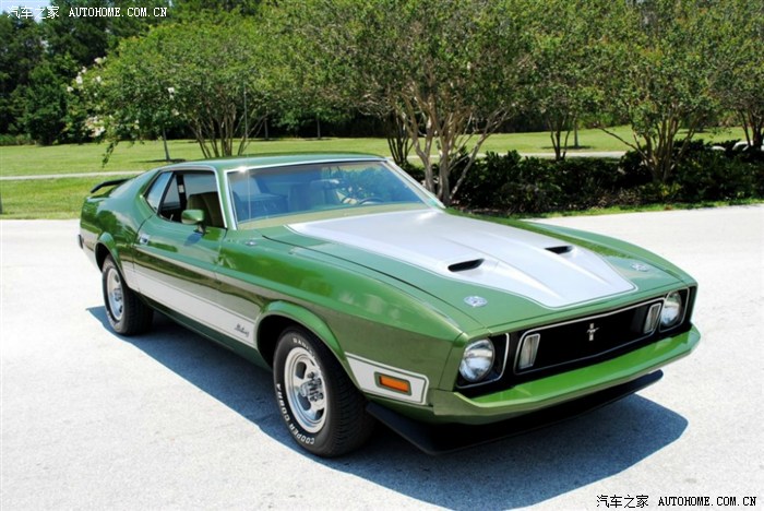 1973年的野马这个颜色够亮的.