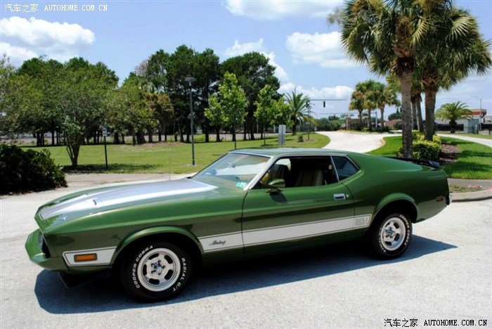 1973年的野马这个颜色够亮的.