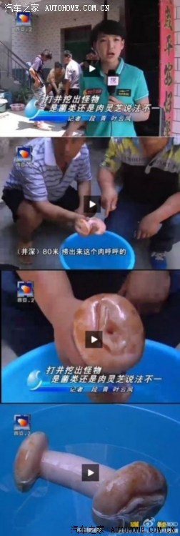 西安电视台误把自慰器当做肉灵芝报道 笑死洒家了