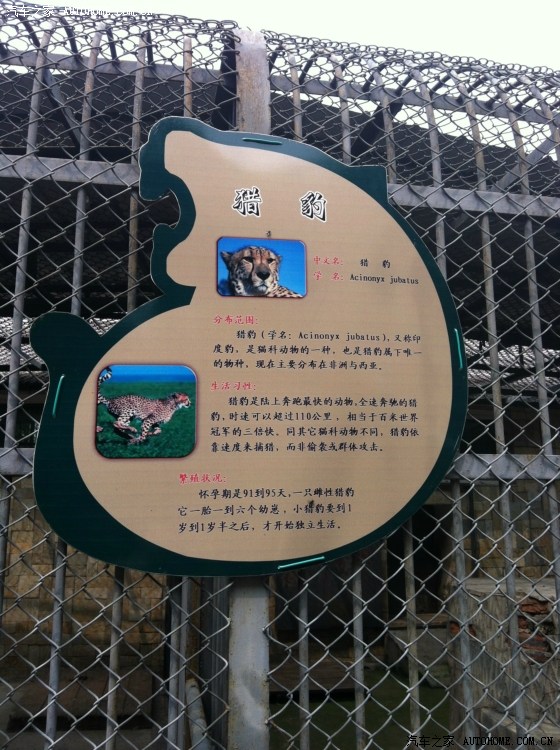 哈尔滨北方森林动物园一日游海量图片申精之作