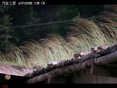过了腊子口,快到迭部了,房顶上的草,随风倒