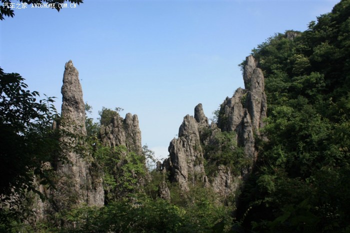 端午道真游,华山林场原始古朴,风景如画,清凉避暑