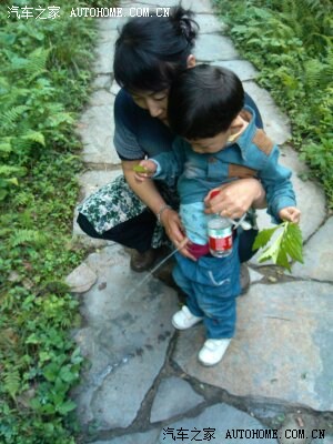 全部我的爱忙里偷闲陪着你们流水账作业