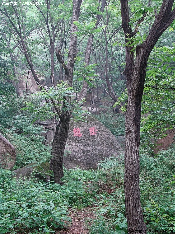 北京m2车友自驾延庆莲花山烤肉拍鸟