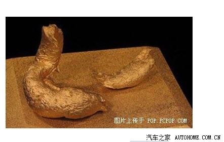 暴强此贴慎入要看的快看