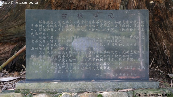 周末游平塘国家地质公园之掌布救星石景区