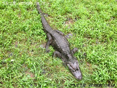 【生态小弟】自驾北戴河,适合带孩子玩的景点