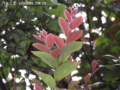 江西南昌滕王阁游记…有个超经典的街拍美女!