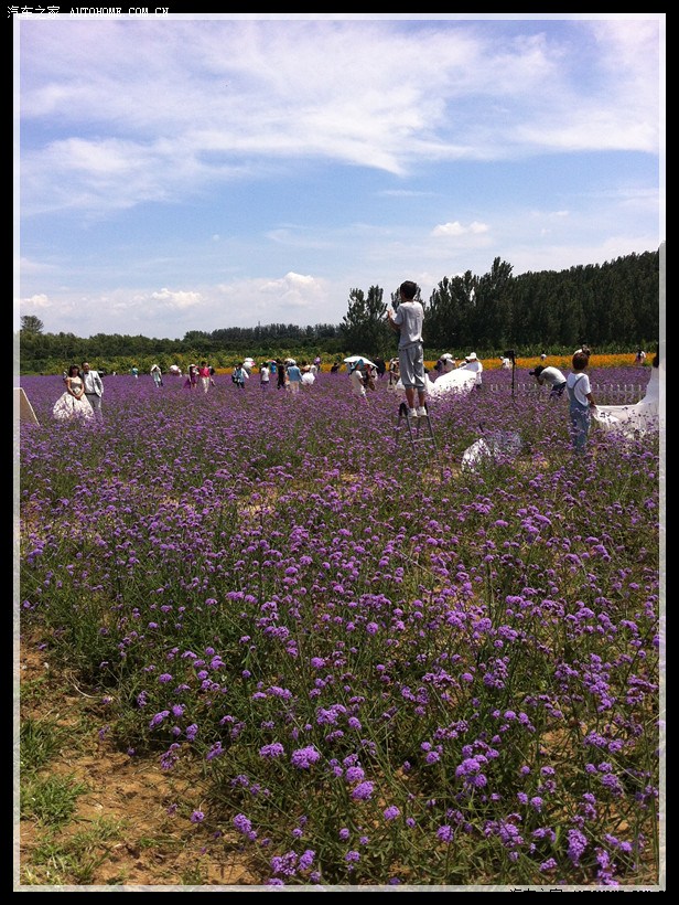 河北乐亭浅水湾二日游