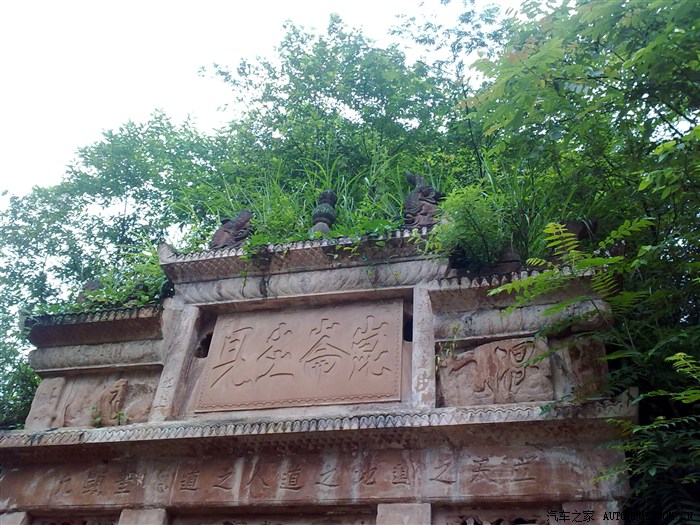 同纬度最后一片原始森林----驾长车江津四面山朝源观归来