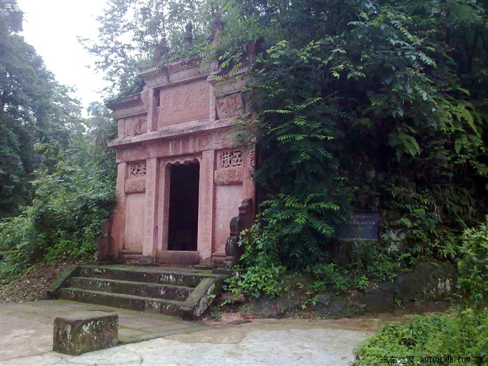 同纬度最后一片原始森林----驾长车江津四面山朝源观归来