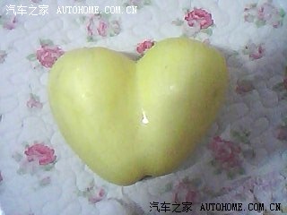 夏利A+申请版主认证 望 领导批准为盼 附图