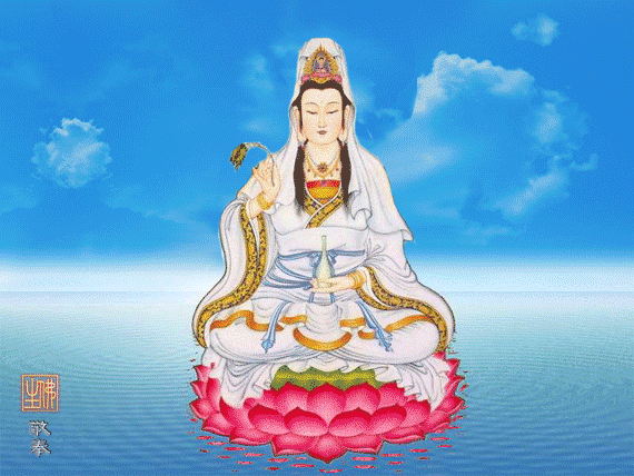 570_428gif 动态图 动图