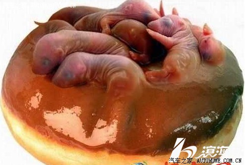 【图】据说是此生尽量要尝试下的怪异食物 居然有天朝松花蛋_世嘉论坛