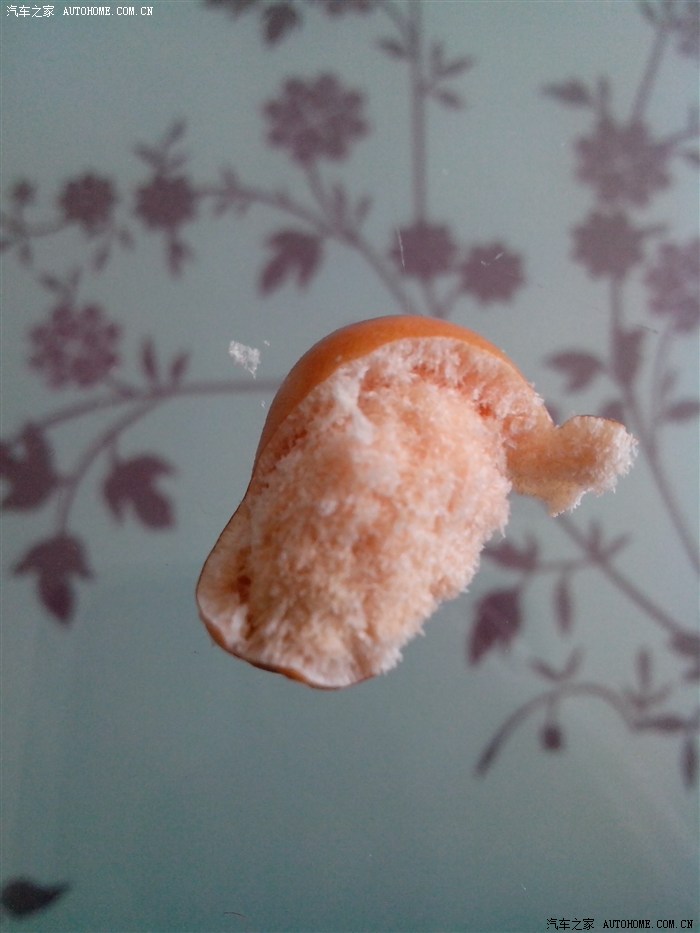 这是沙枣核有喜欢穿串的车友吗