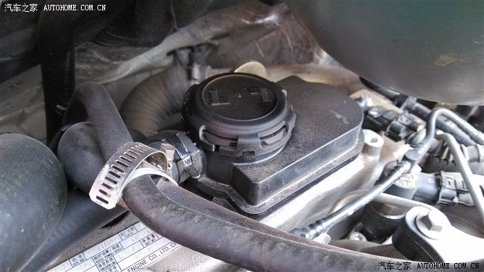 新款废气单项阀