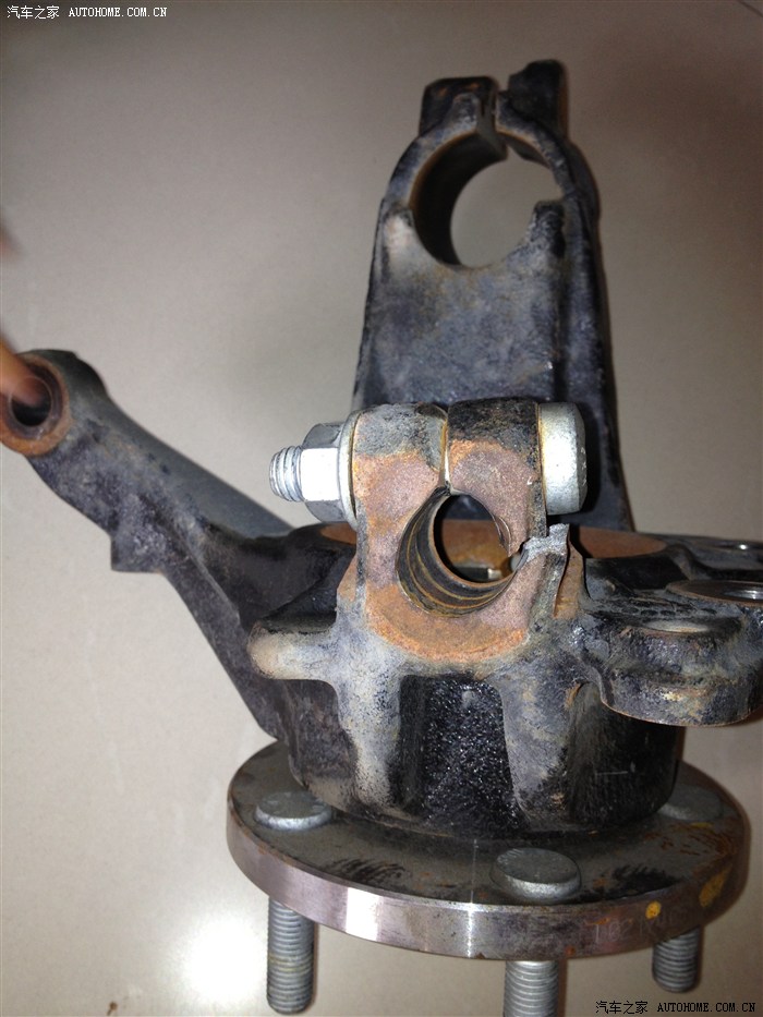 美国翼虎羊角,大家来看看是什么材质的