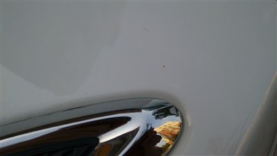 白车上的黄点锈斑。是落上去的。