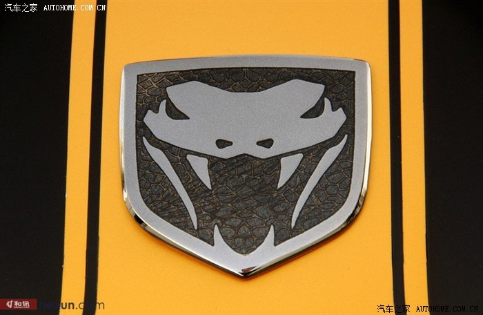 【图】一条大眼镜蛇标志是什么车_瑞虎5论坛_汽车之家论坛