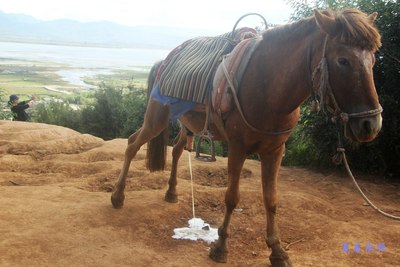 【我的景逸x5】一路向西 美丽云南之旅 【本季连载完结】