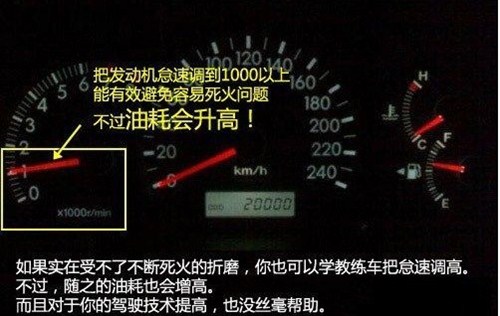【图】教练车有别私家车 新手开车应知道的事