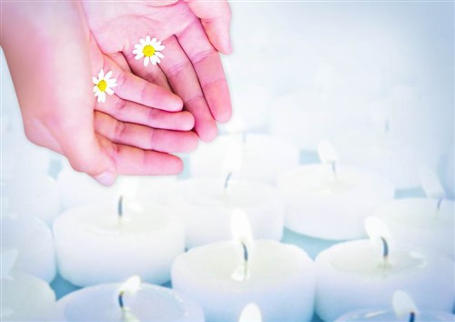 【图】宝马爱心基金向雅安灾区捐款200万元