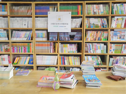 捐知识 行未来——东风标致508"小桔灯"乡村小学图书馆
