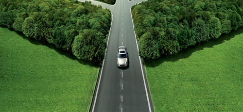 【图】上饶宝泽宝马倡导植树低碳环保行动