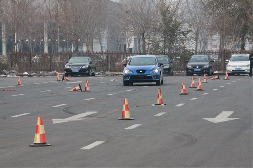 进口大众西雅特登陆新疆 限时七折销售