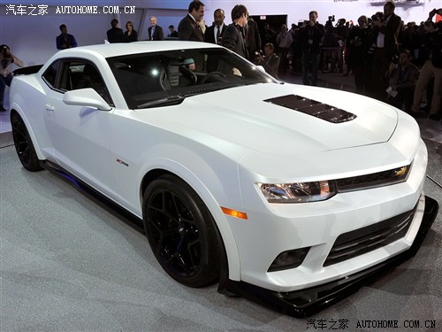 银幕硬汉携手大黄蜂重磅亮相车展